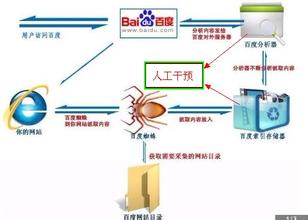 烟台网络公司:百度人工词