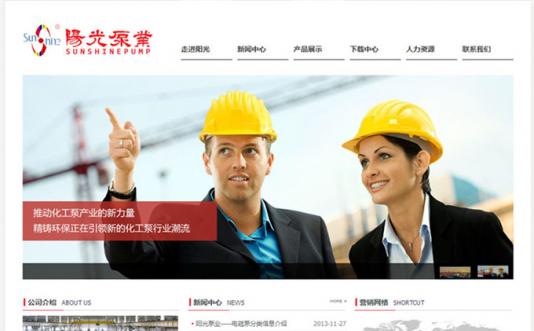 蜂图网络中标阳光泵业官方网站建设项目
